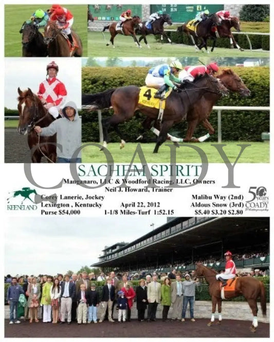 Sachem Spirit - 042212 Race 05 Keeneland