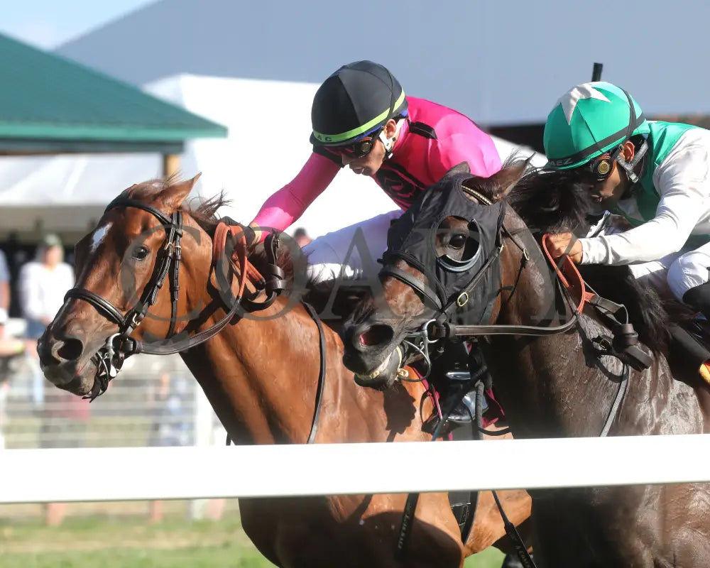 Safeen - The Jeff Ruby One Dreamer 09-05-24 R09 Kd Inside Finish 01 Kentucky Downs