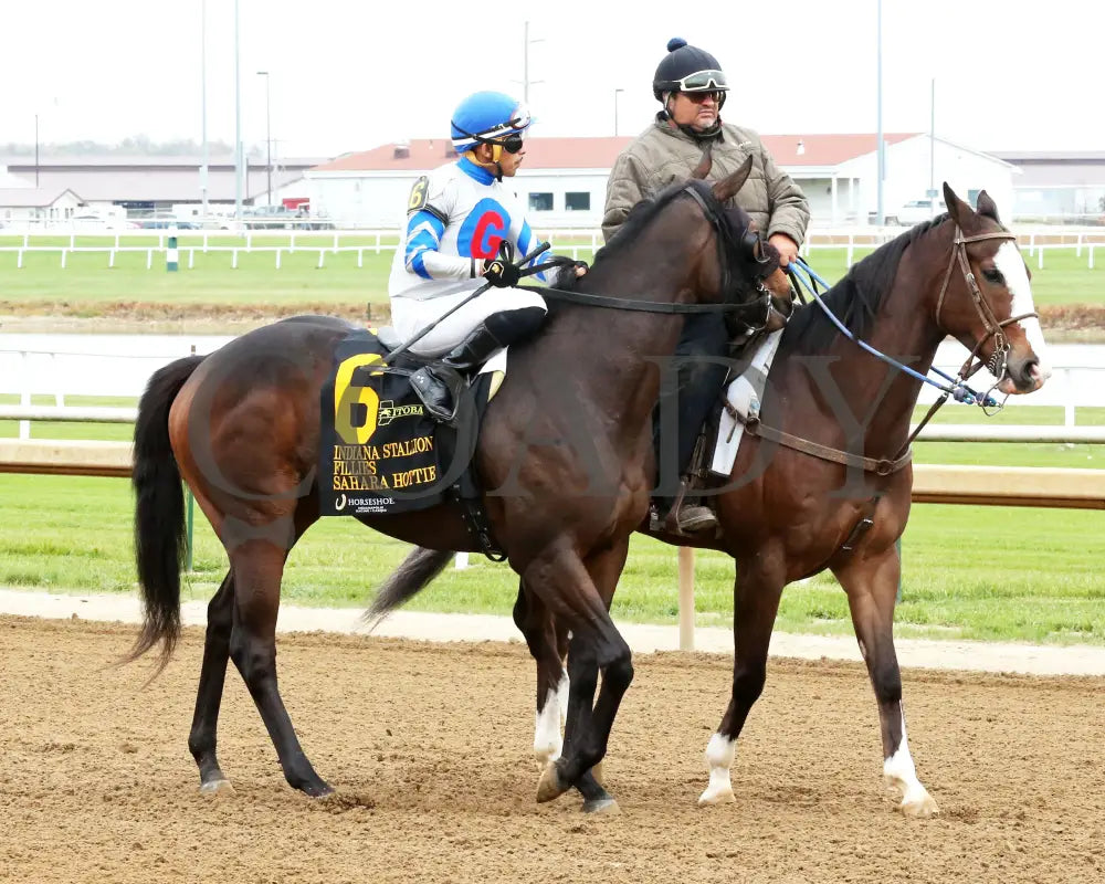 SAHARA HOTTIE - Indiana Stallion - 28th Running - 10-25-25 - R04 - Horseshoe Indiana - Post Parade 01 - Sammantha