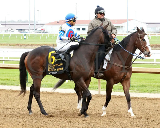 SAHARA HOTTIE - Indiana Stallion - 28th Running - 10-25-25 - R04 - Horseshoe Indiana - Post Parade 01 - Sammantha