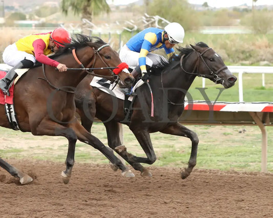Sakura Blossom - Arizona Oaks 03 - 14 - 24 R06 Turf Paradise Finish 2