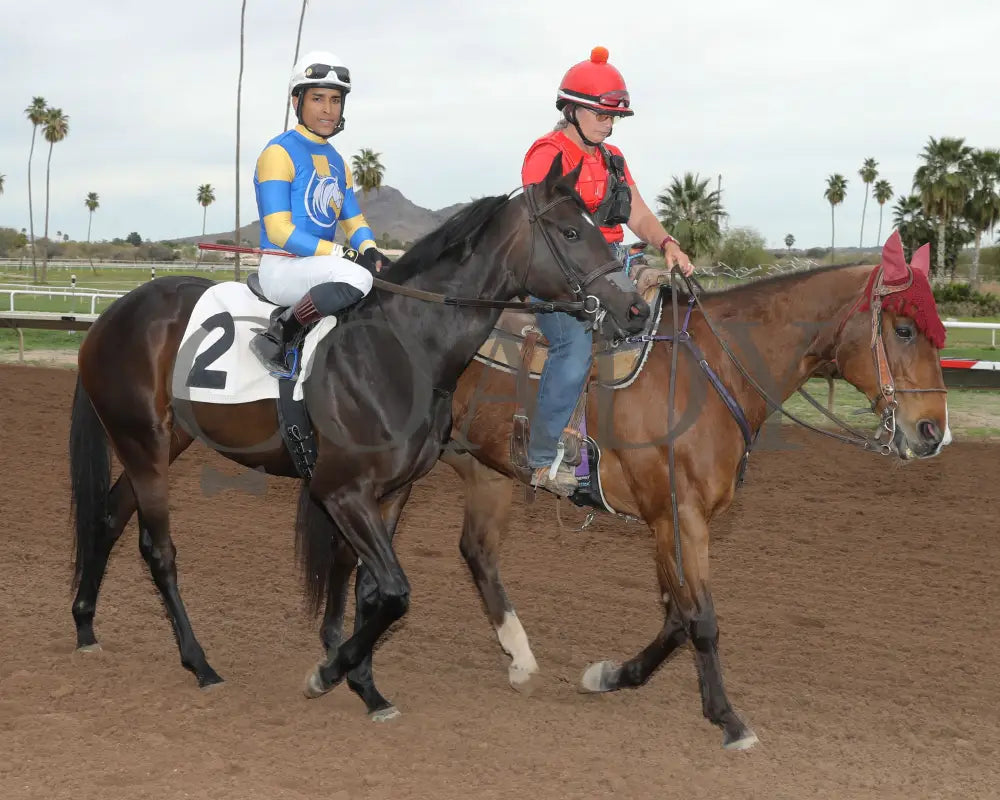 Sakura Blossom - Arizona Oaks 03 - 14 - 24 R06 Turf Paradise Post Parade