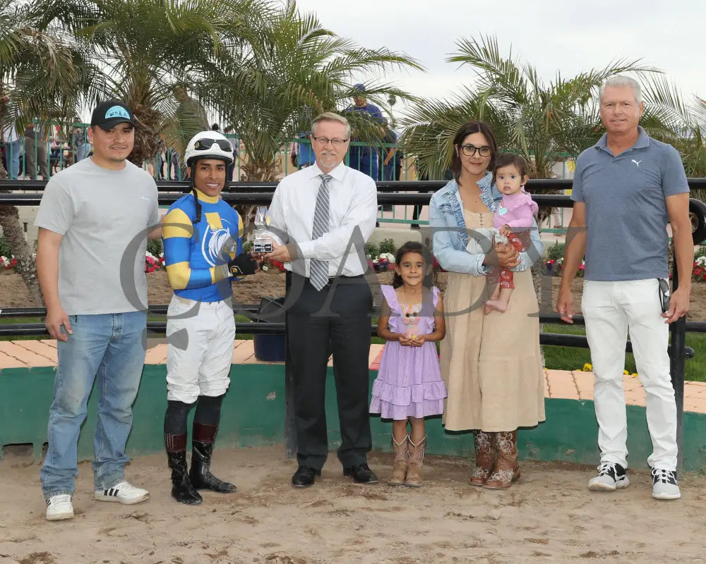 Sakura Blossom - Arizona Oaks 03 - 14 - 24 R06 Turf Paradise Presentation