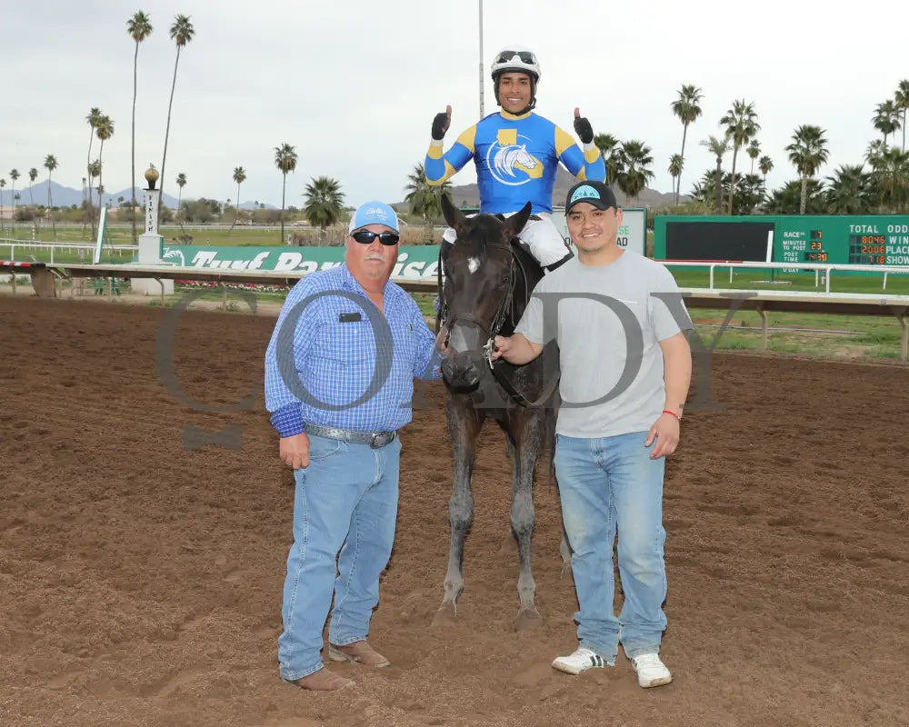 Sakura Blossom - Arizona Oaks 03 - 14 - 24 R06 Turf Paradise Return Shot 2