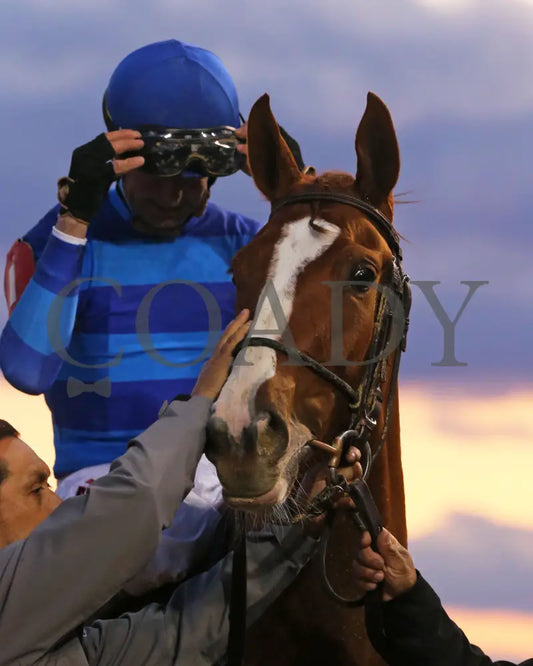 Sally’s Curlin - Chilukki G3 34Th Running 11-02-19 R08 Cd Come Back 01 Churchill Downs