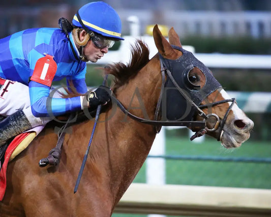 Sally’s Curlin - Chilukki G3 34Th Running 11-02-19 R08 Cd Finish 03 Churchill Downs