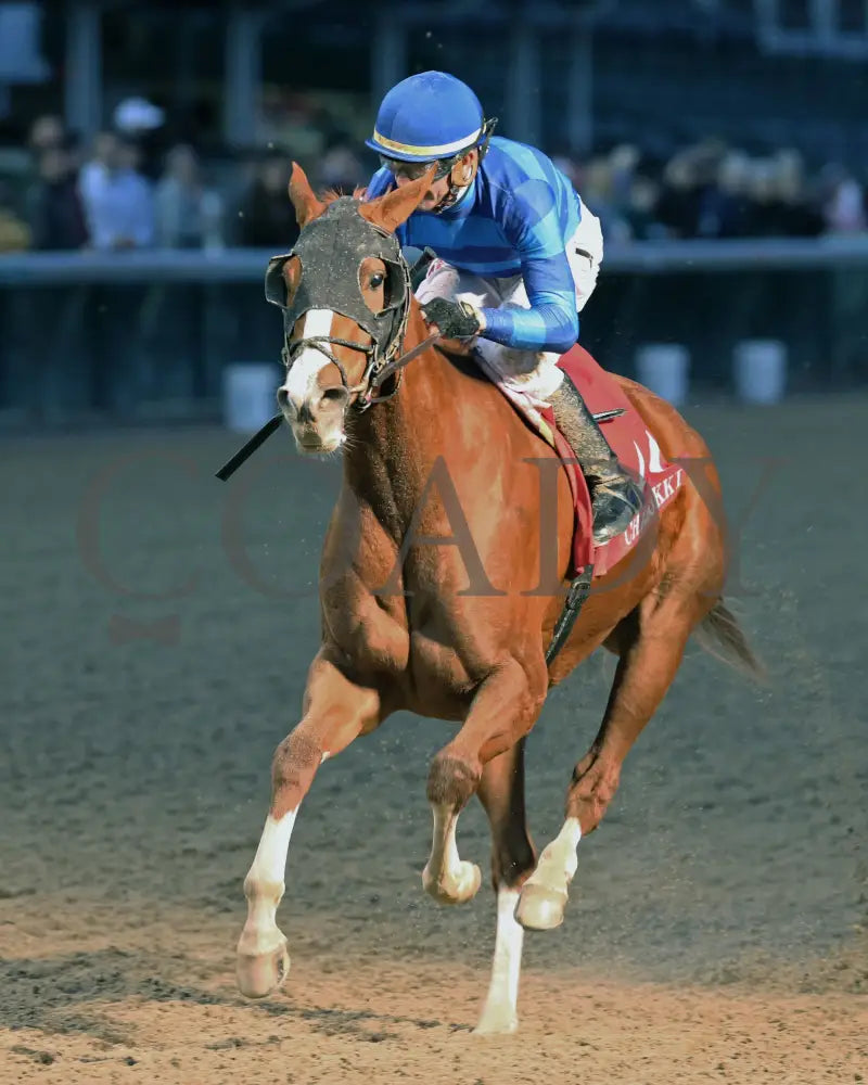 Sally’s Curlin - Chilukki G3 34Th Running 11-02-19 R08 Cd Inside Finish 01 Churchill Downs