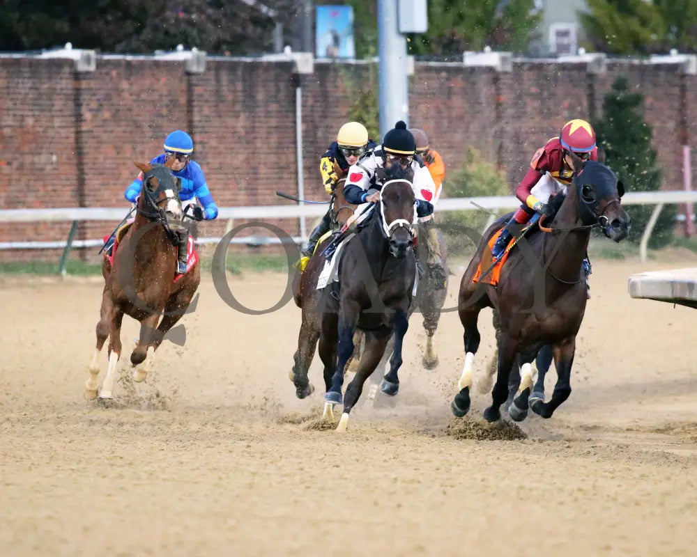 Sally’s Curlin - Chilukki G3 34Th Running 11-02-19 R08 Cd Turn 01 Churchill Downs
