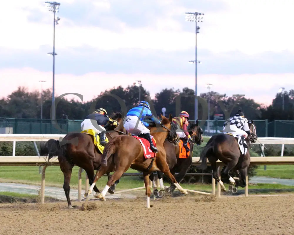 Sally’s Curlin - Chilukki G3 34Th Running 11-02-19 R08 Cd Turn 02 Churchill Downs