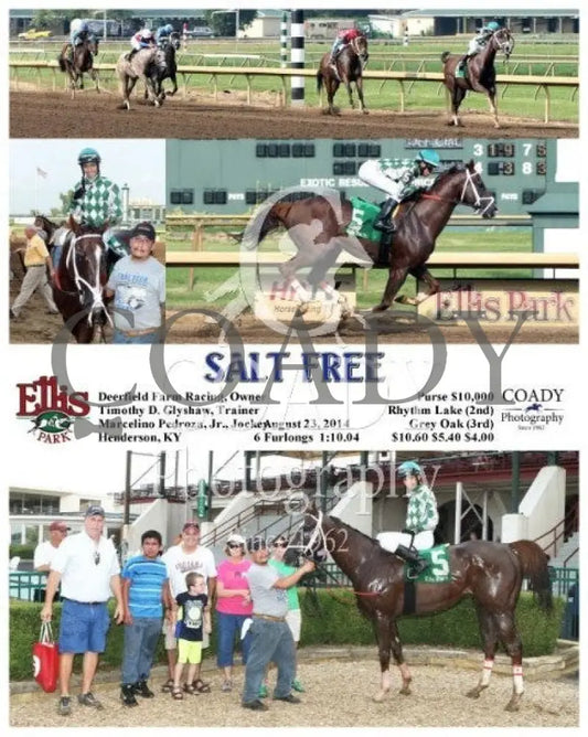 Salt Free - 082314 Race 09 Elp Ellis Park