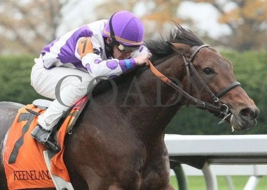 San Antone - 2 102811 Race 07 Keeneland