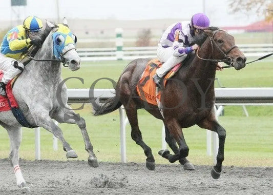 San Antone - 3 102811 Race 07 Keeneland