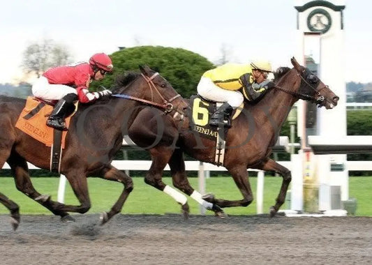 Sanagas - Finish 102011 Race 08 Keeneland