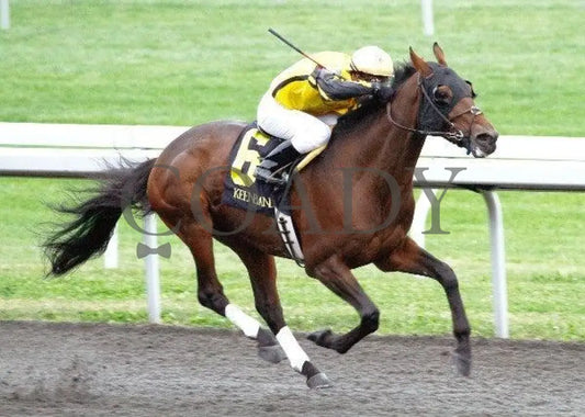 Sanagas - Finish 2 102011 Race 08 Keeneland