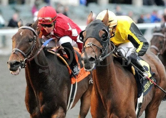 Sanagas - Inside Finish 102011 Race 08 Keeneland