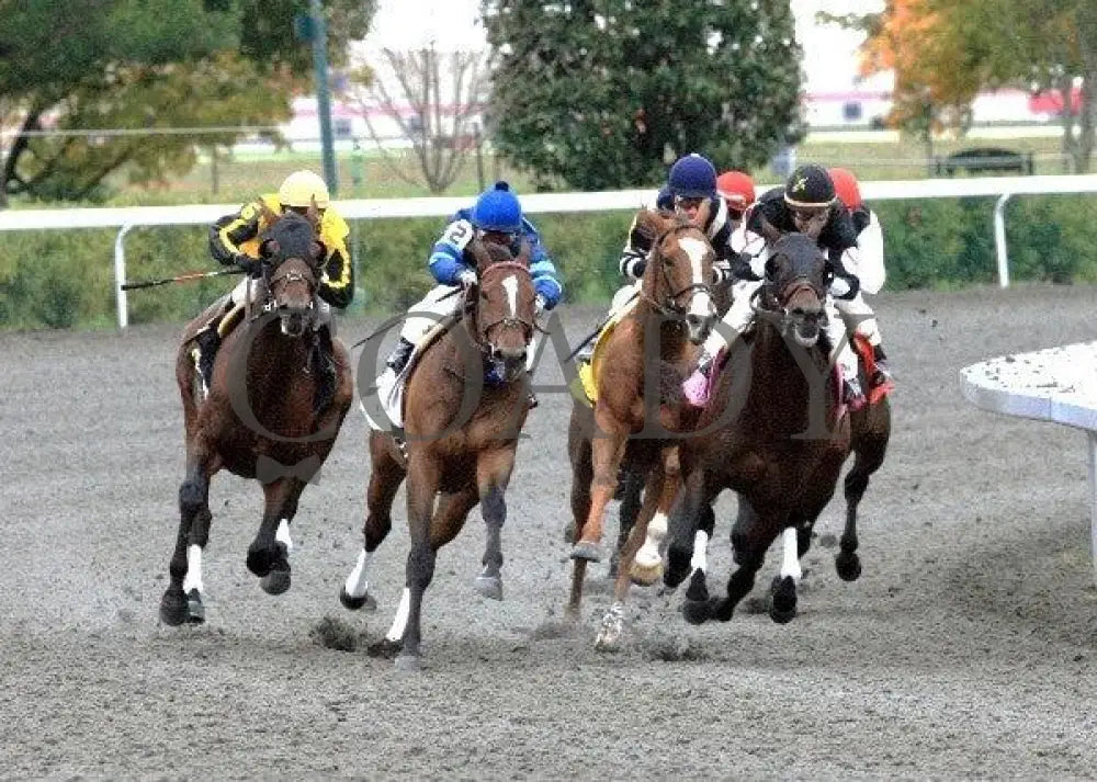 Sanagas - Turn 102011 Race 08 Keeneland