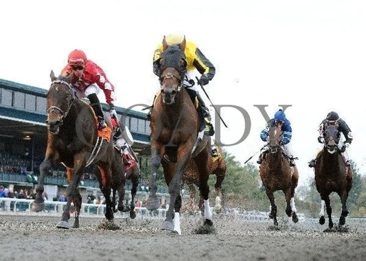 Sanagas - Under Rail 102011 Race 08 Keeneland