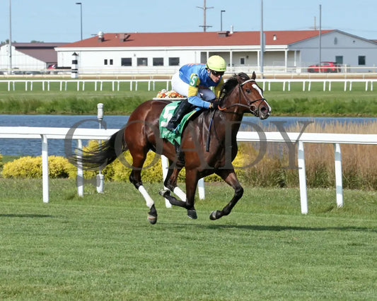 Sand And Sea - The Peony 20Th Running 08-21-24 R07 Horseshoe Indiana Finish 02 Sammantha Pagels