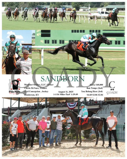 SANDBORN - 08-11-25 - R07 - ELP Ellis Park