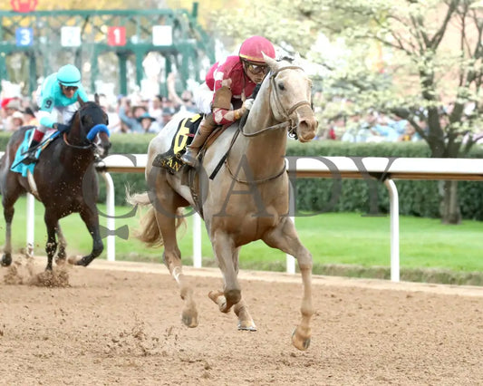 SANDMAN - Arkansas Derby G1 - 89th Running - 03-29-25 - R13 - OP - Finish 02 Oaklawn Park