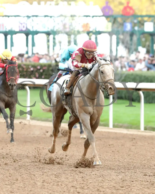 SANDMAN - Arkansas Derby G1 - 89th Running - 03-29-25 - R13 - OP - Finish 04 Oaklawn Park