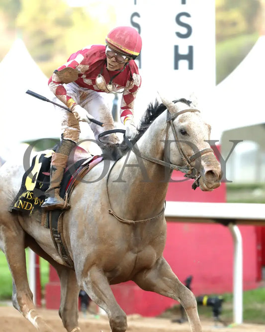 SANDMAN - Arkansas Derby G1 - 89th Running - 03-29-25 - R13 - OP - Finish 05 Oaklawn Park