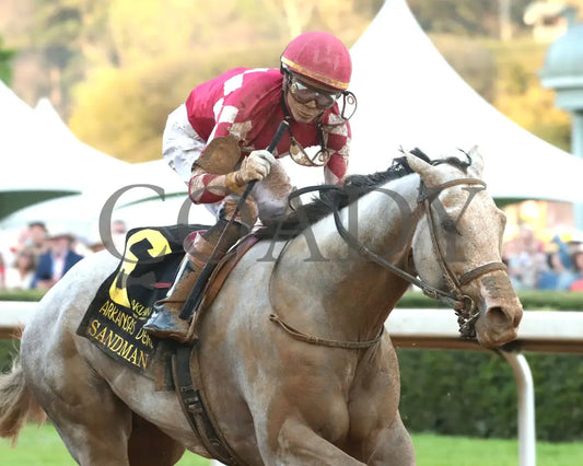 SANDMAN - Arkansas Derby G1 - 89th Running - 03-29-25 - R13 - OP - Finish 06 Oaklawn Park