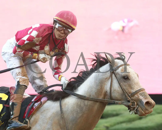 SANDMAN - Arkansas Derby G1 - 89th Running - 03-29-25 - R13 - OP - Finish 07 Oaklawn Park