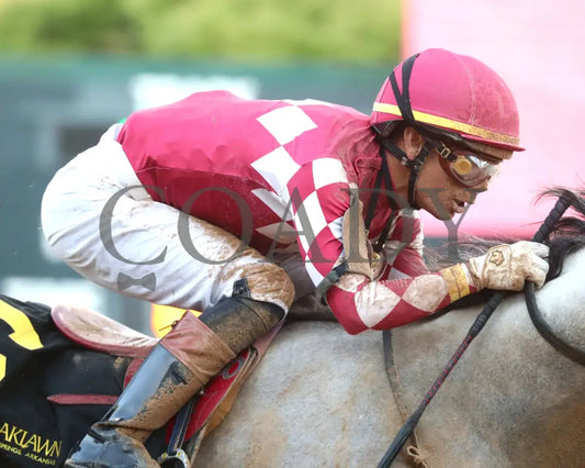 SANDMAN - Arkansas Derby G1 - 89th Running - 03-29-25 - R13 - OP - Finish 08 Oaklawn Park