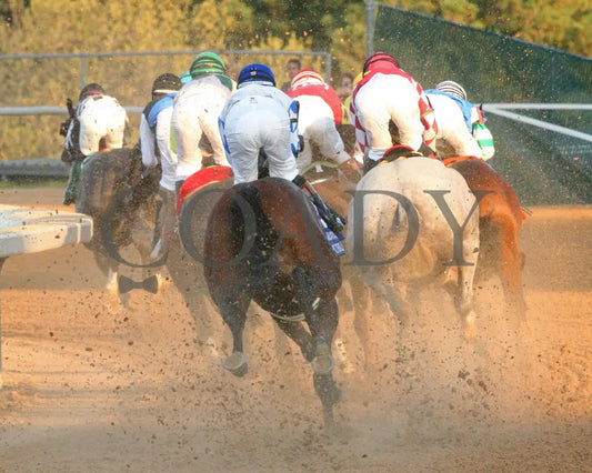 SANDMAN - Arkansas Derby G1 - 89th Running - 03-29-25 - R13 - OP - First Turn 01 Oaklawn Park