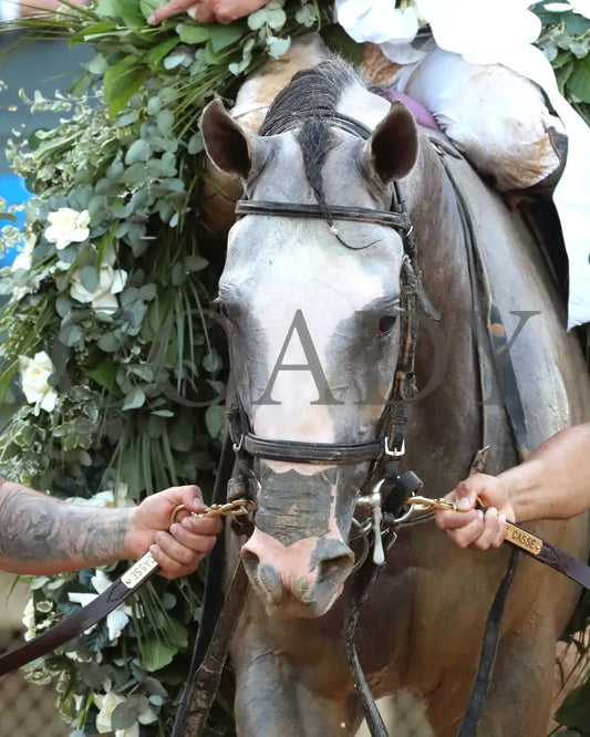 SANDMAN - Arkansas Derby G1 - 89th Running - 03-29-25 - R13 - OP - Garland 01 Oaklawn Park