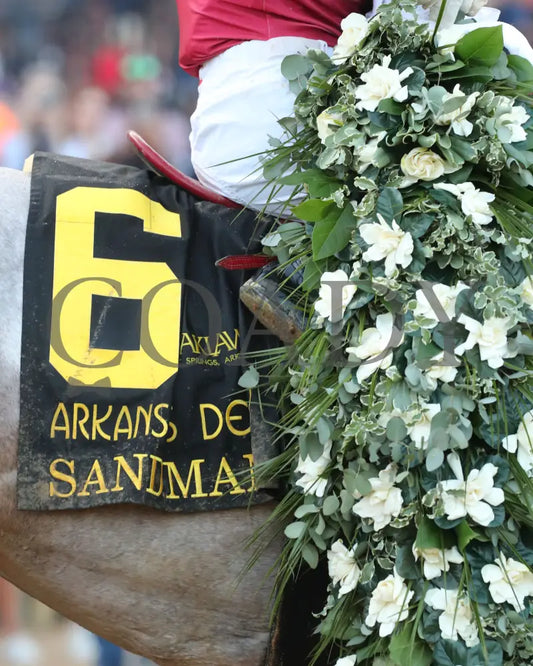 SANDMAN - Arkansas Derby G1 - 89th Running - 03-29-25 - R13 - OP - Garland 04 Oaklawn Park