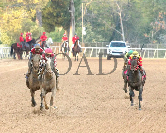 SANDMAN - Arkansas Derby G1 - 89th Running - 03-29-25 - R13 - OP - Head On 01 Oaklawn Park