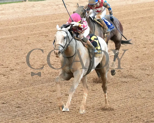SANDMAN - Arkansas Derby G1 - 89th Running - 03-29-25 - R13 - OP - Inside Finish 02 Oaklawn Park