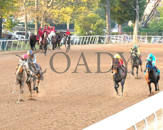 SANDMAN - Arkansas Derby G1 - 89th Running - 03-29-25 - R13 - OP - Inside Finish 03 Oaklawn Park