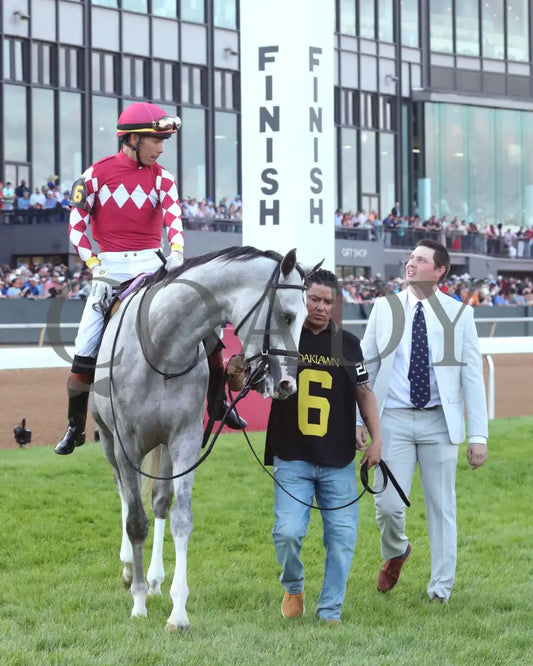 SANDMAN - Arkansas Derby G1 - 89th Running - 03-29-25 - R13 - OP - Paddock 01 Oaklawn Park