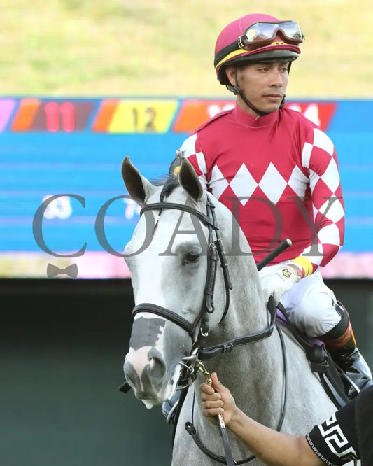 SANDMAN - Arkansas Derby G1 - 89th Running - 03-29-25 - R13 - OP - Paddock 02 Oaklawn Park