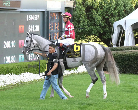 SANDMAN - Arkansas Derby G1 - 89th Running - 03-29-25 - R13 - OP - Paddock 05 Oaklawn Park