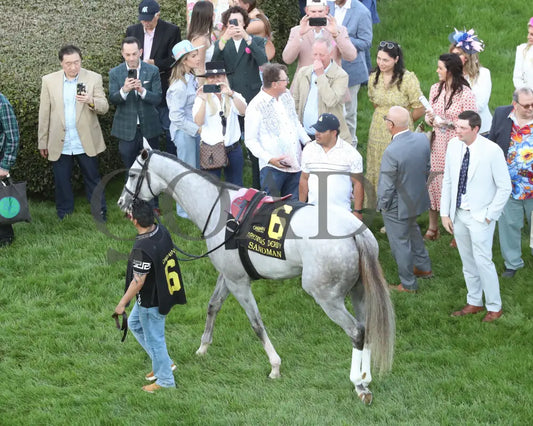 SANDMAN - Arkansas Derby G1 - 89th Running - 03-29-25 - R13 - OP - Paddock 06 Oaklawn Park