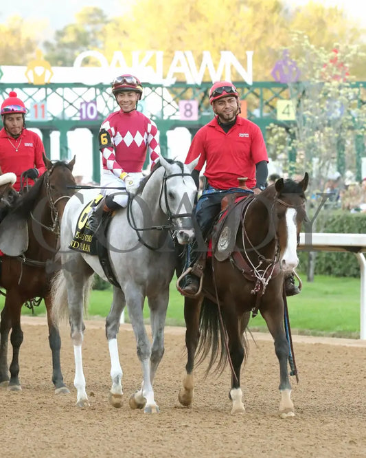 SANDMAN - Arkansas Derby G1 - 89th Running - 03-29-25 - R13 - OP - Post Parade 01 Oaklawn Park