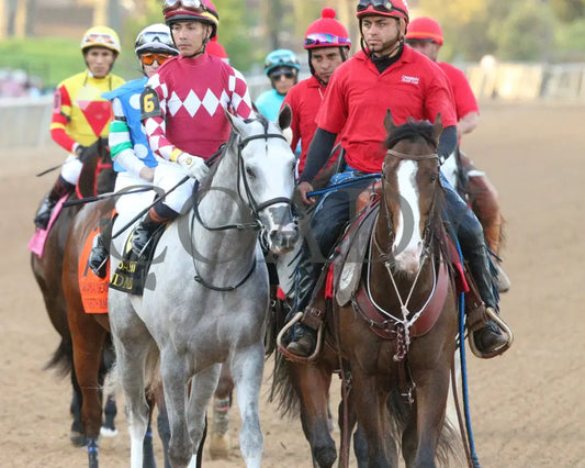SANDMAN - Arkansas Derby G1 - 89th Running - 03-29-25 - R13 - OP - Post Parade 03 Oaklawn Park