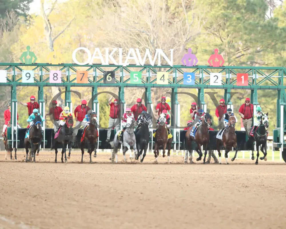 SANDMAN - Arkansas Derby G1 - 89th Running - 03-29-25 - R13 - OP - Start 01 Oaklawn Park