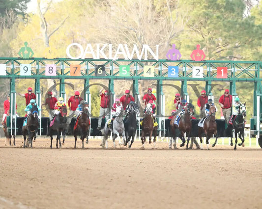 SANDMAN - Arkansas Derby G1 - 89th Running - 03-29-25 - R13 - OP - Start 01 Oaklawn Park