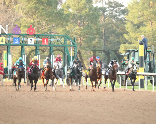 SANDMAN - Arkansas Derby G1 - 89th Running - 03-29-25 - R13 - OP - Start 02 Oaklawn Park