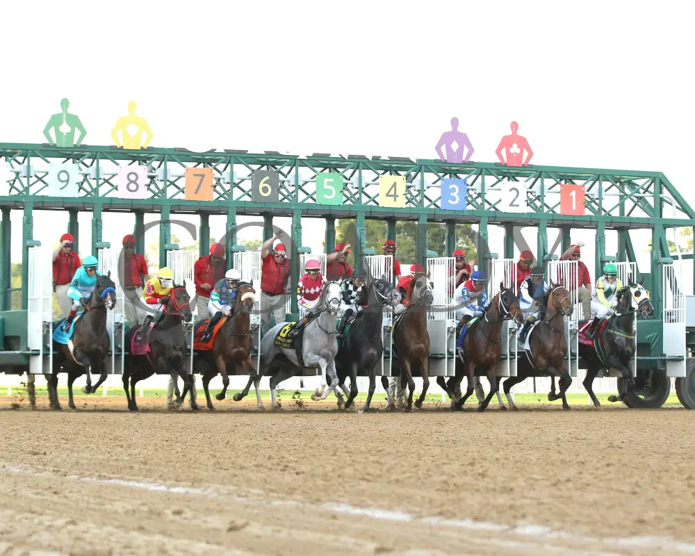 SANDMAN - Arkansas Derby G1 - 89th Running - 03-29-25 - R13 - OP - Start 04 Oaklawn Park
