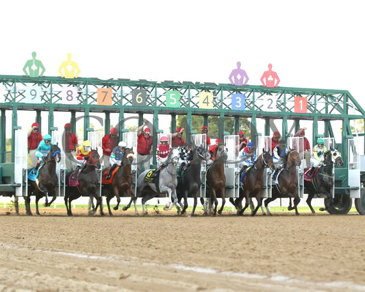 SANDMAN - Arkansas Derby G1 - 89th Running - 03-29-25 - R13 - OP - Start 04 Oaklawn Park