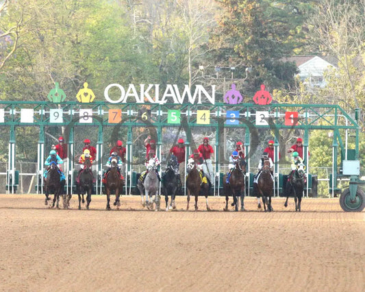 SANDMAN - Arkansas Derby G1 - 89th Running - 03-29-25 - R13 - OP - Start 03 Oaklawn Park
