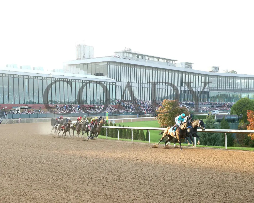 SANDMAN - Arkansas Derby G1 - 89th Running - 03-29-25 - R13 - OP - Sweeping Turn 01 Oaklawn Park