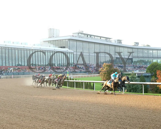 SANDMAN - Arkansas Derby G1 - 89th Running - 03-29-25 - R13 - OP - Sweeping Turn 01 Oaklawn Park