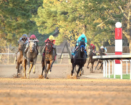 SANDMAN - Arkansas Derby G1 - 89th Running - 03-29-25 - R13 - OP - Turn 01 Oaklawn Park